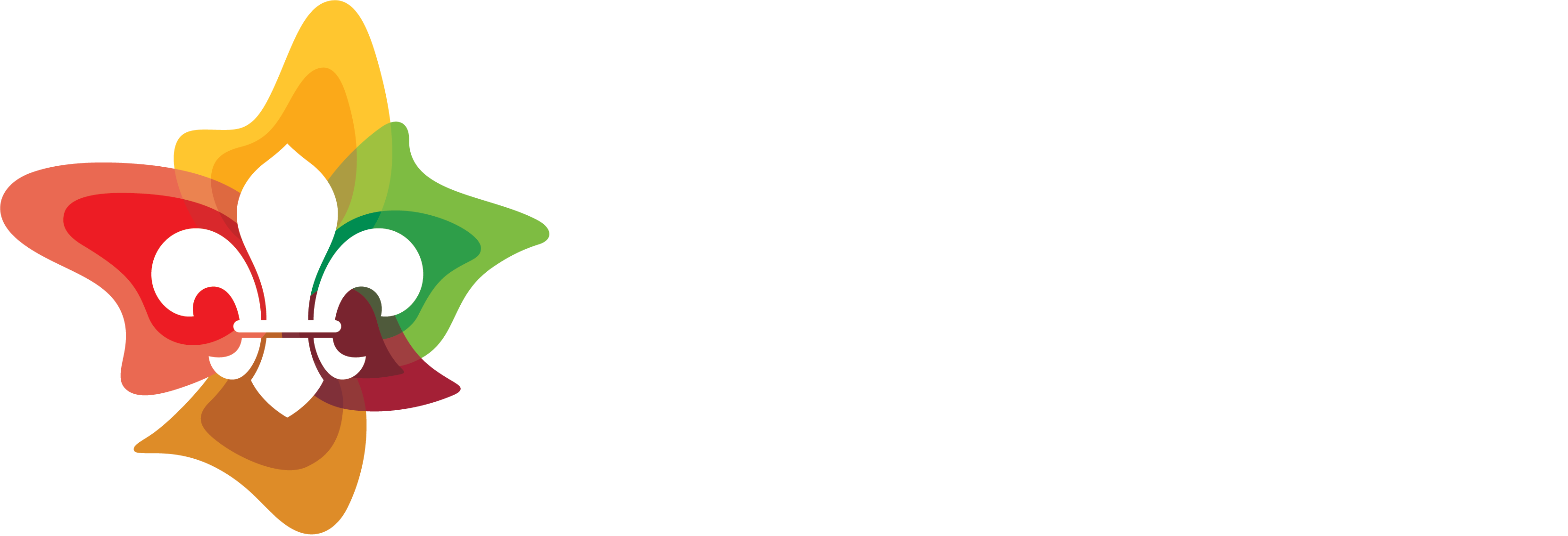 Scouts NSW